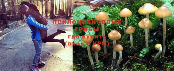 прущая мука Алексеевка